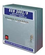 ECO 2001-P